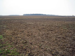 Property photo 24 - 414.5 +/- Acres Offered in 6 Tracts - Prime Indiana Farmland